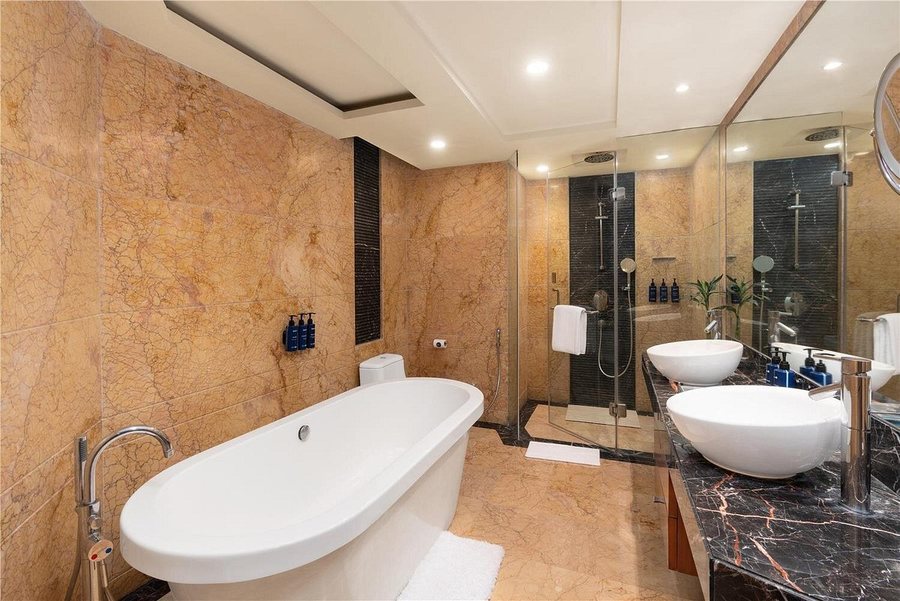Radisson Blu Plaza Hotel Delhi Airport New Delhi National Capital Territory of D — Bathroom