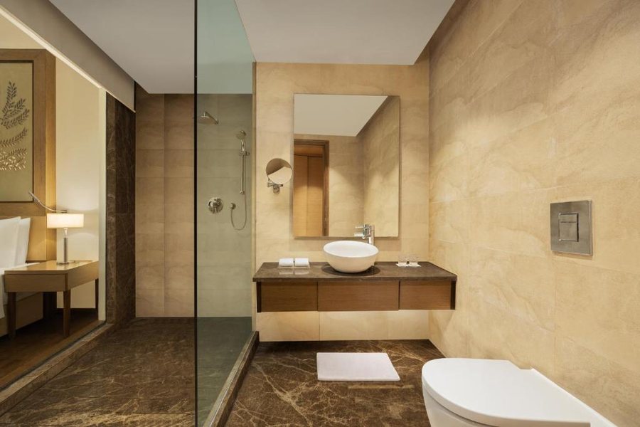 Radisson Hotel Delhi MG Road — Bathroom
