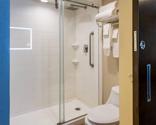 Radisson Hotel Grand Rapids Riverfront — Bathroom