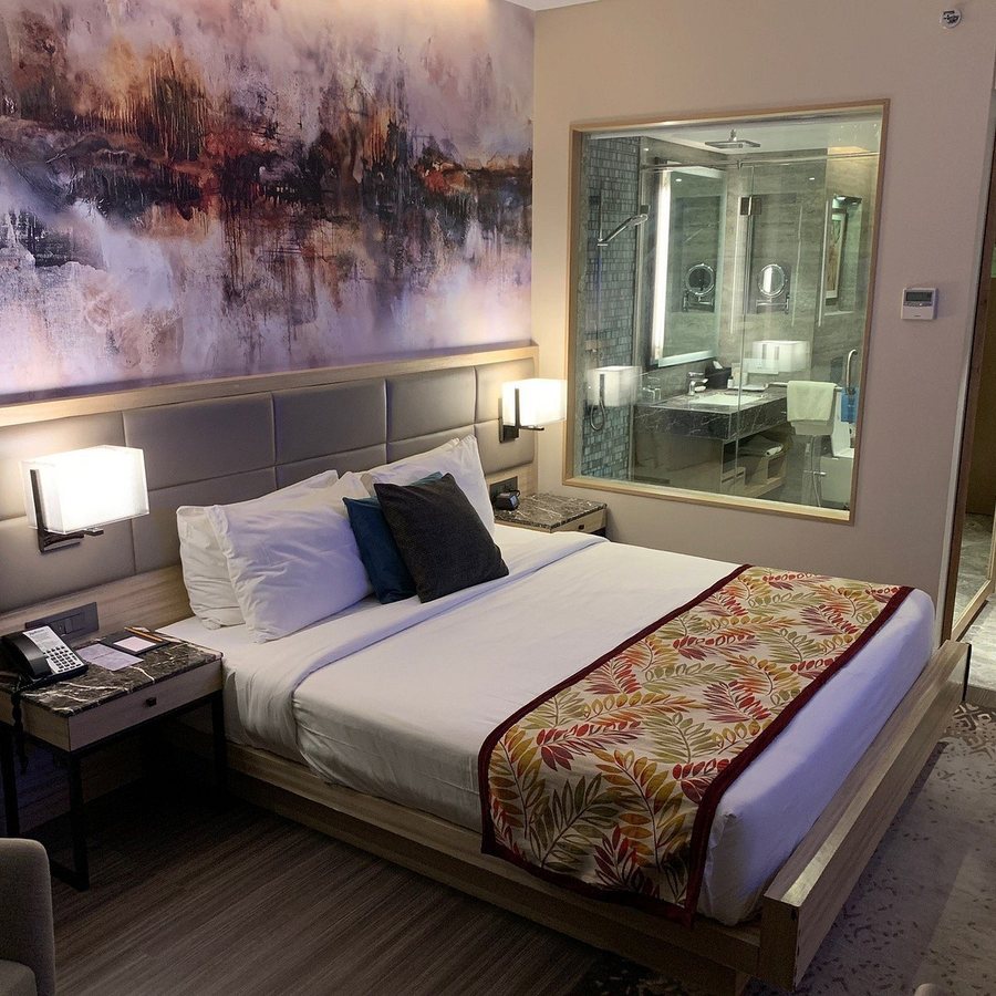 Radisson Hotel Mumbai Andheri MIDC — Guest room