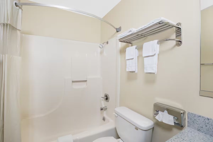 Radisson Hotel Niagara Falls Grand Island — Bathroom