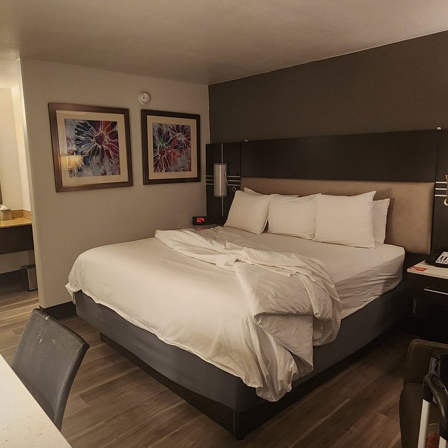 Radisson Hotel Oakland Airport — Guest room