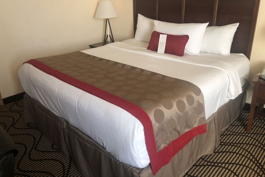 Ramada by Wyndham Birmingham Airport — Guest room