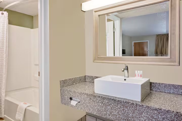 Ramada by Wyndham Denver Downtown — Bathroom