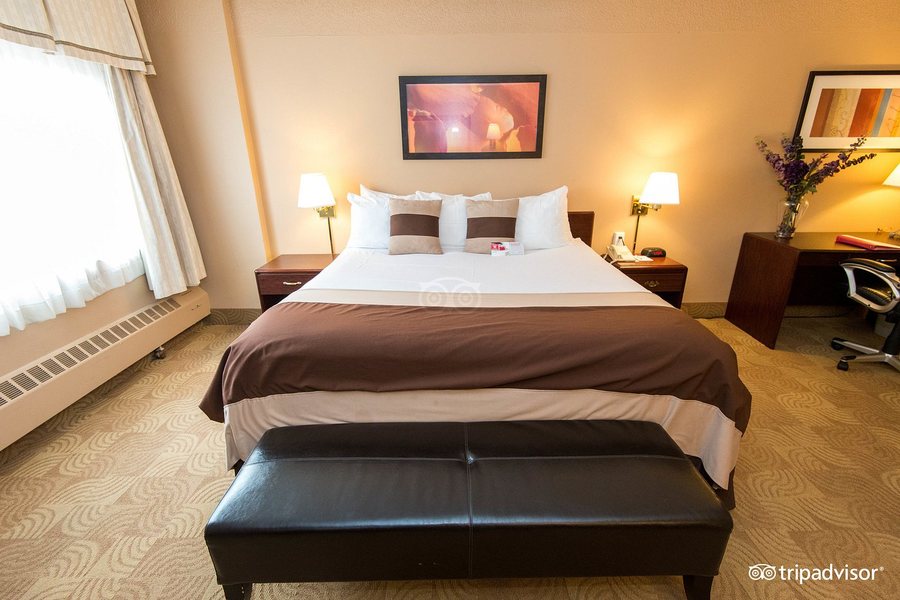 Ramada by Wyndham Denver Midtown — Guest room