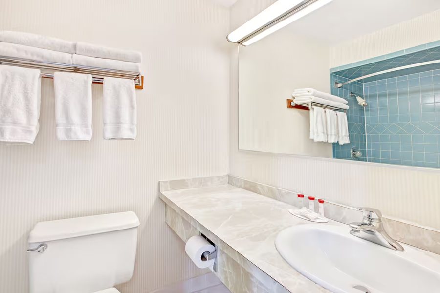 Ramada by Wyndham Flemington Flemington New Jersey — Bathroom