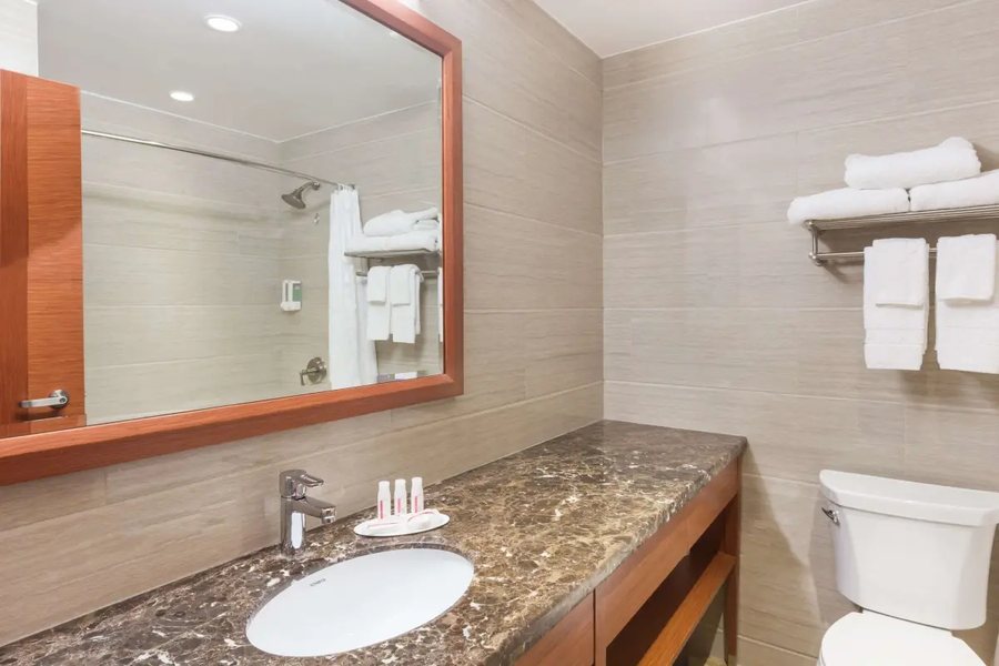 Ramada by Wyndham New York Times Square West New York City New York — Bathroom