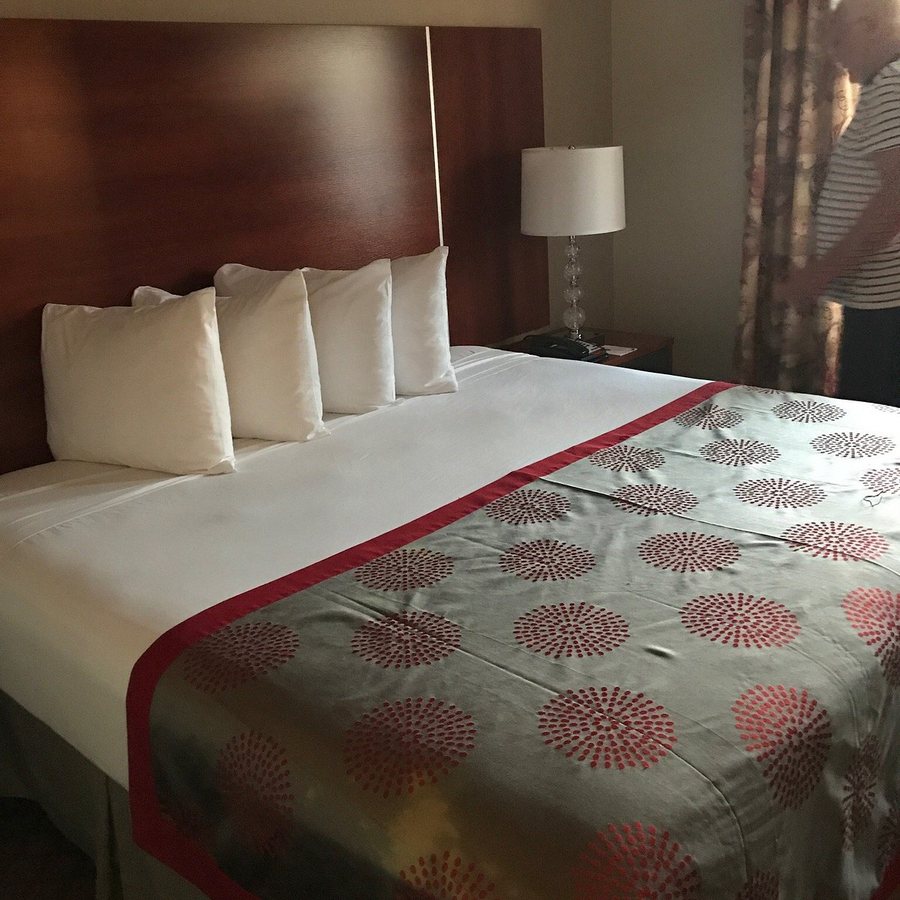 Ramada by Wyndham Staten Island — Guest room
