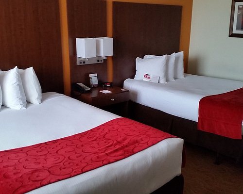 Ramada By Wyndham Tampa Westshore Airport South — Guest room