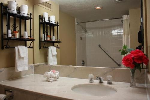 Ramada by Wyndham Tucson — Bathroom