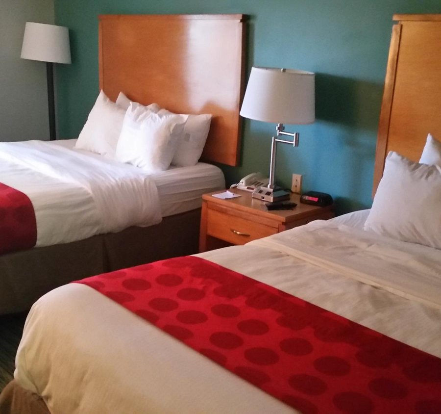 Ramada Plaza Louisville Hotel Conference Center — Guest room
