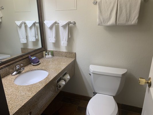 Ramkota Hotel — Bathroom