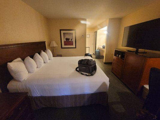 Red Lion Hotel Kennewick Columbia Center — Guest room