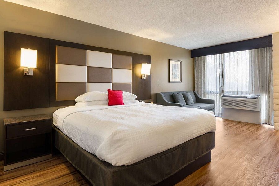 Red Lion Hotel Monterey — Guest room