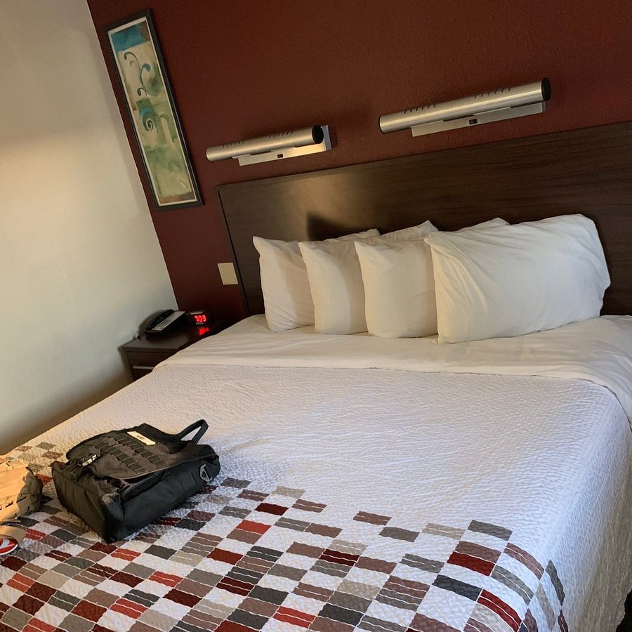 Red Roof Inn Aberdeen — Guest room