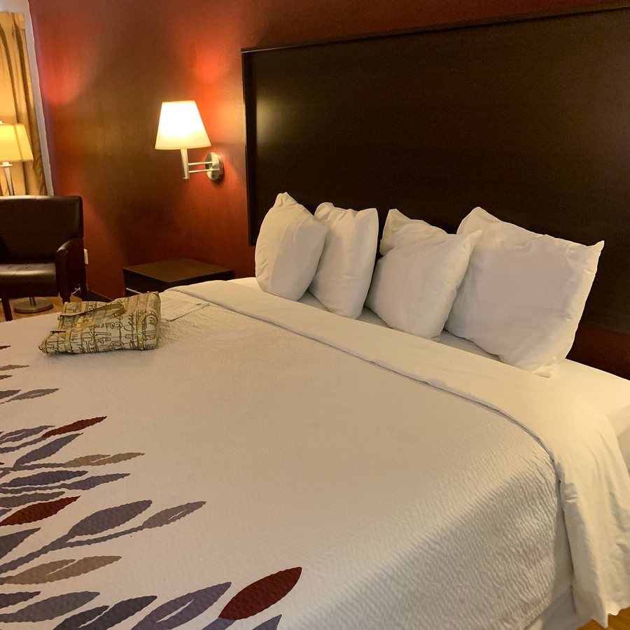 Red Roof Inn Acworth Emerson LakePoint South — Guest room