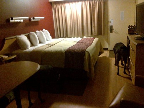 Red Roof Inn Akron — Guest room