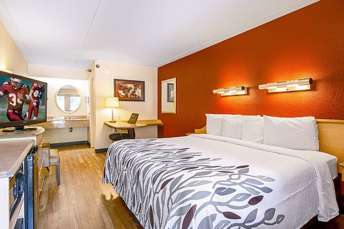 Red Roof Inn Asheville Biltmore West — Guest room