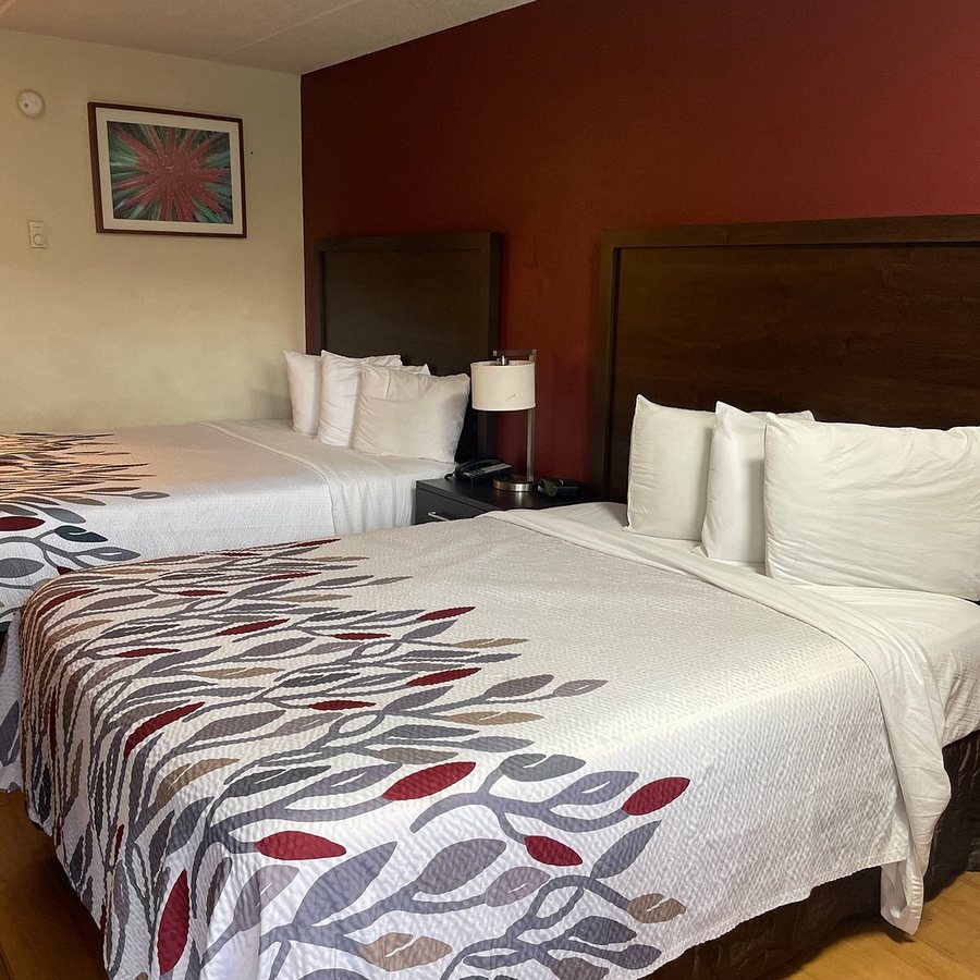 Red Roof Inn Atlanta South Morrow — Guest room
