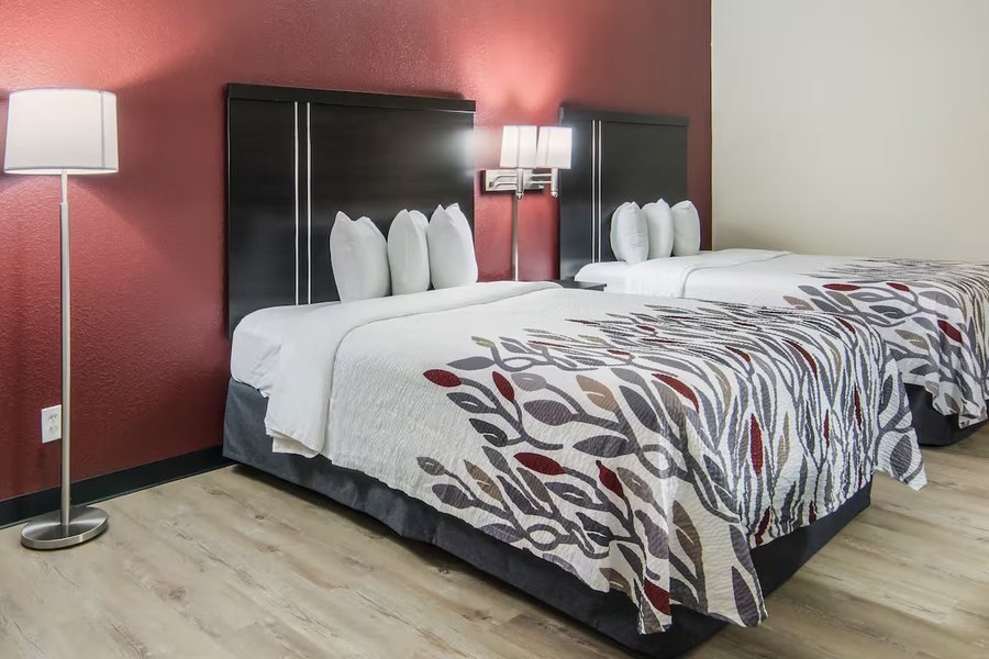Red Roof Inn Binghamton North — Guest room
