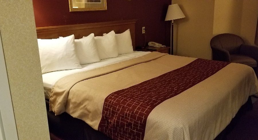 Red Roof Inn Clifton Park — Guest room