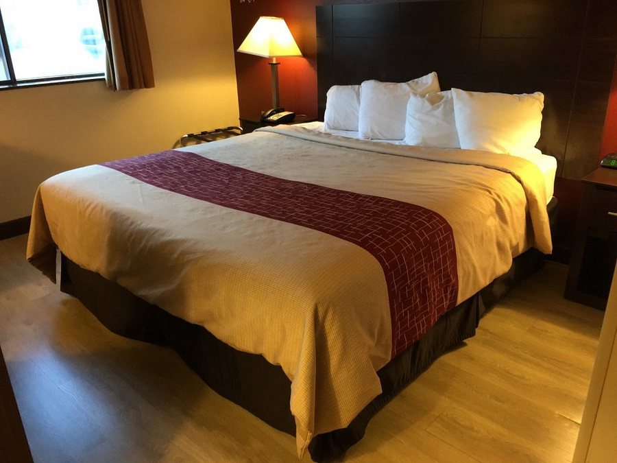 Red Roof Inn Culpeper — Guest room