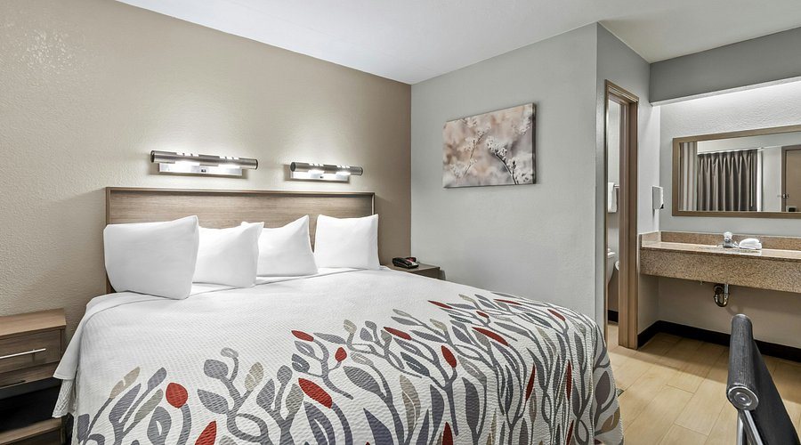 Red Roof Inn Dayton North Airport — Guest room