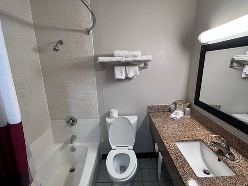 Red Roof Inn Dayton South Miamisburg — Bathroom