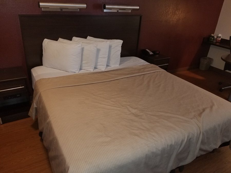 Red Roof Inn Detroit Troy — Guest room