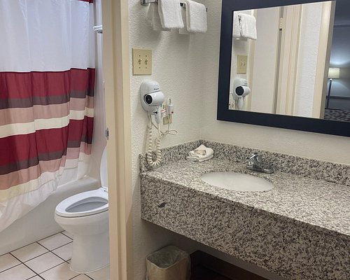 Red Roof Inn Forsyth — Bathroom