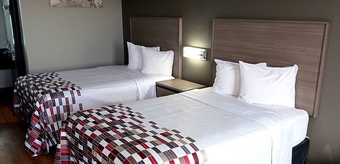 Red Roof Inn Fort Worth South — Guest room
