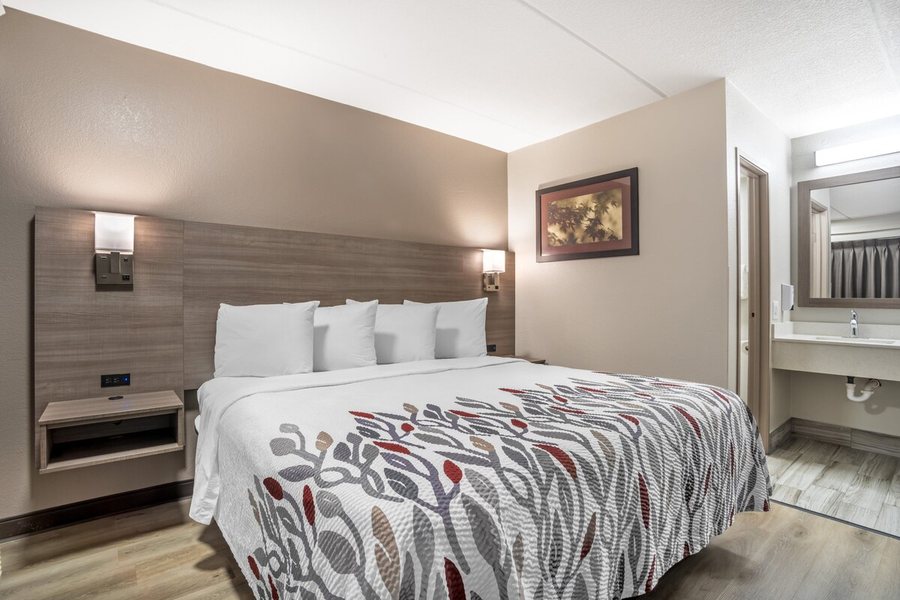 Red Roof Inn Greenville — Guest room