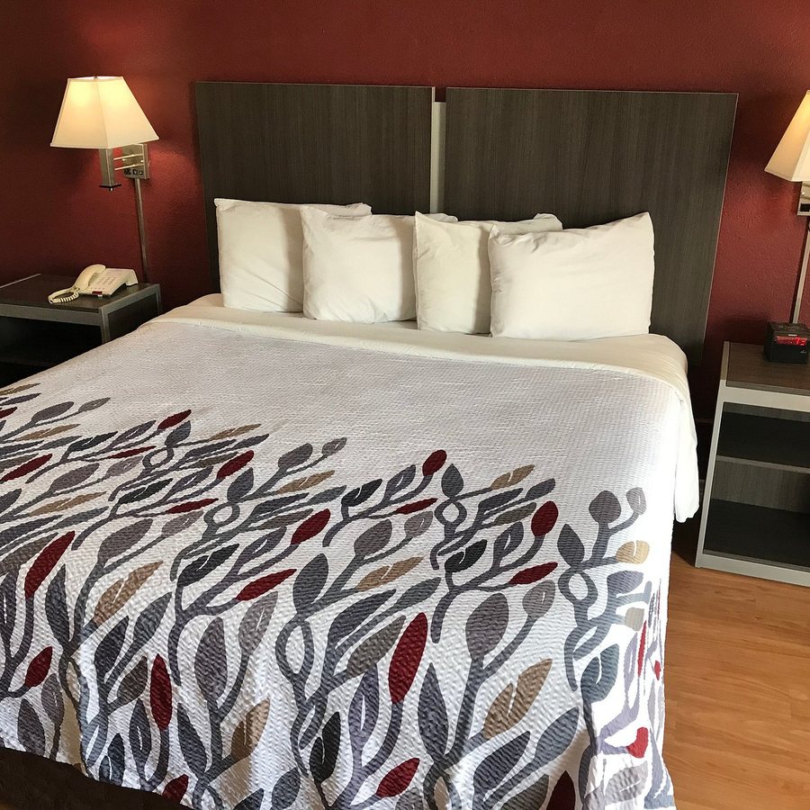 Red Roof Inn Houston North FM1960 I 45 — Guest room