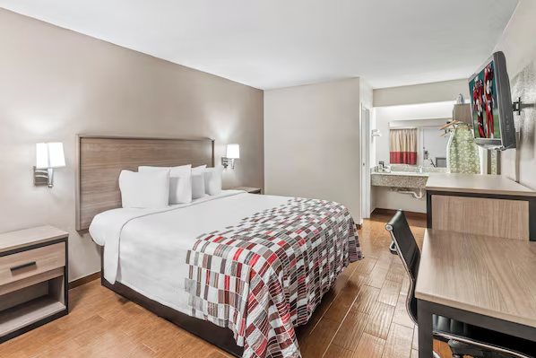 Red Roof Inn Jackson Downtown Fairgrounds — Guest room