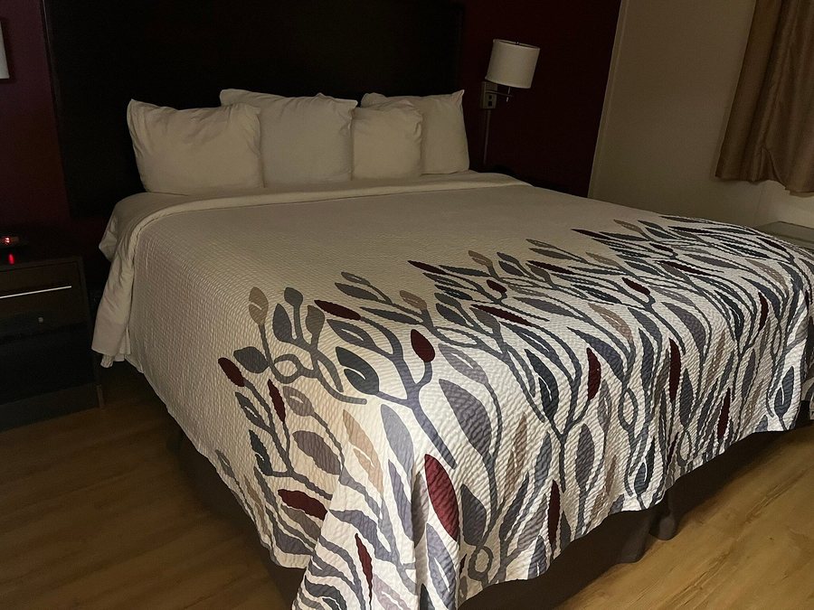 Red Roof Inn Knoxville Central Papermill Road — Guest room