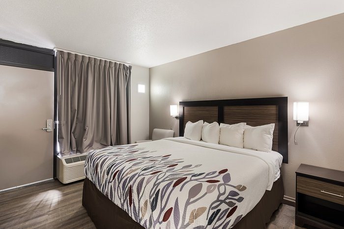 Red Roof Inn Lenoir — Guest room