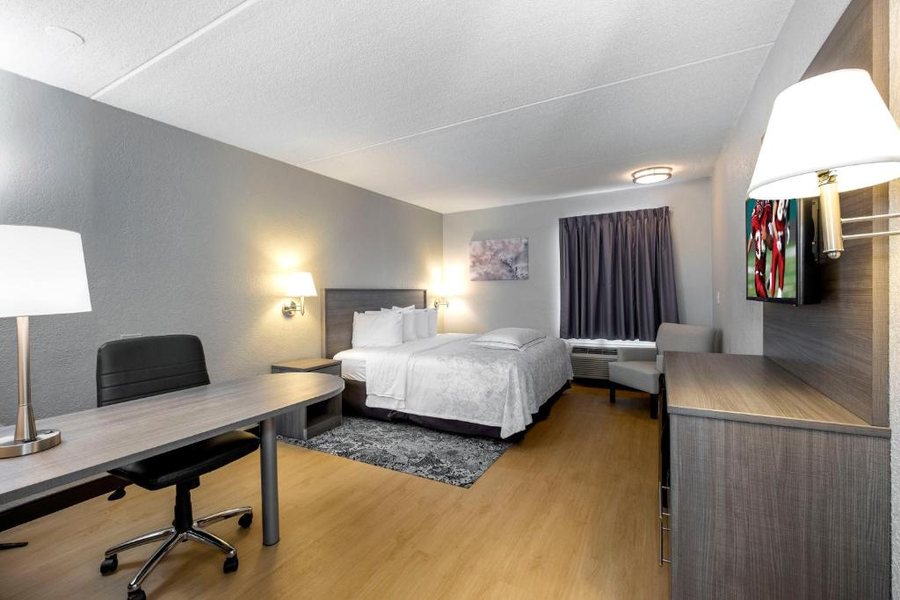 Red Roof Inn Mansfield — Guest room