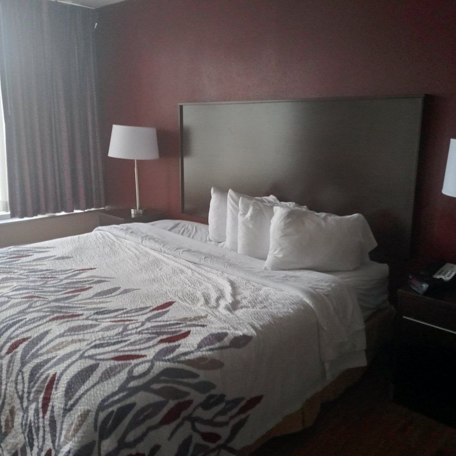 Red Roof Inn Marion IN — Guest room