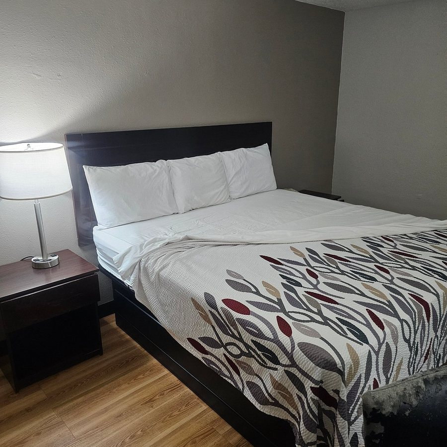 Red Roof Inn Memphis Graceland Airport — Guest room