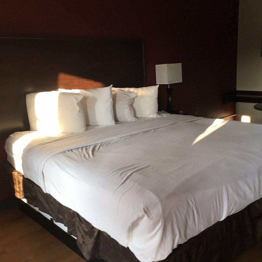 Red Roof Inn Mobile North Saraland — Guest room