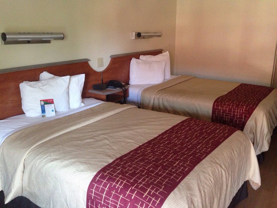 Red Roof Inn Parkersburg — Guest room