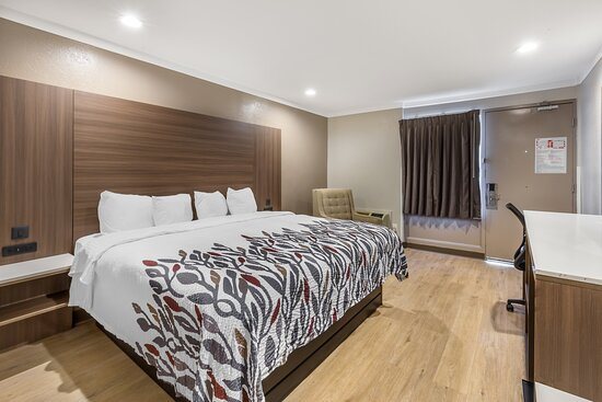 Red Roof Inn Raleigh Northeast Downtown — Guest room