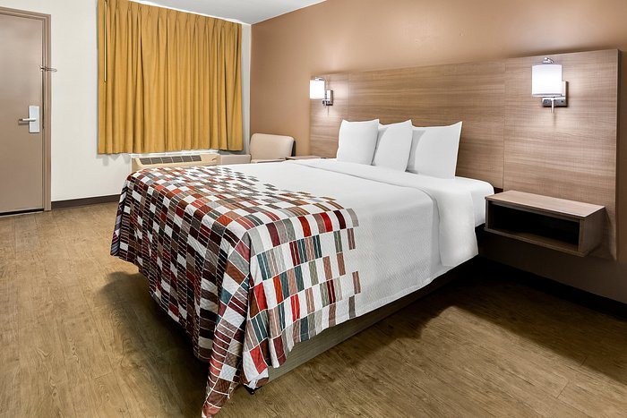 Red Roof Inn Rock Hill — Guest room