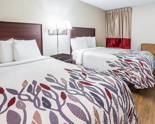 Red Roof Inn Spartanburg I 26 — Guest room