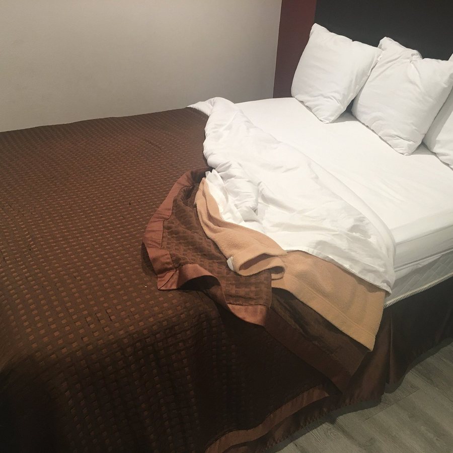 Red Roof Inn St George UT Convention Center — Guest room