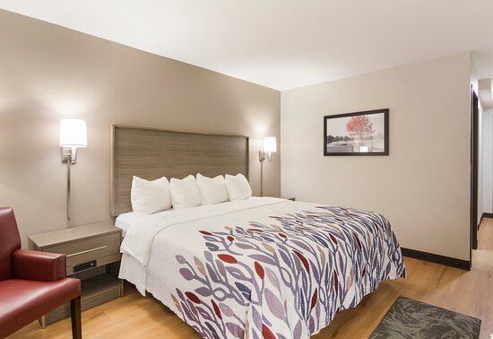 Red Roof Inn Suites Chestertown — Guest room