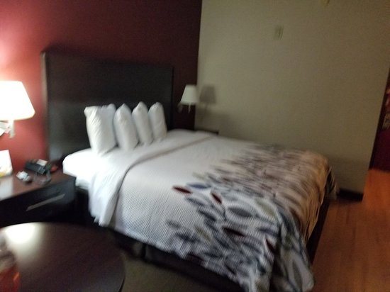 Red Roof Inn Suites Dover Downtown — Guest room