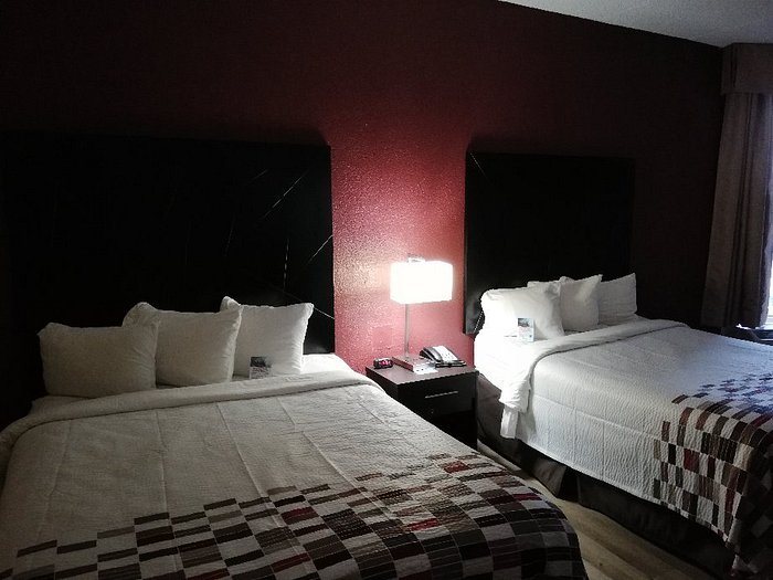 Red Roof Inn Suites Macon — Guest room