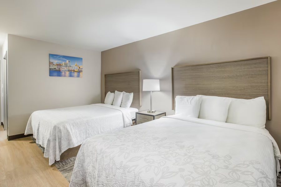 Red Roof Inn Suites Savannah Airport — Guest room