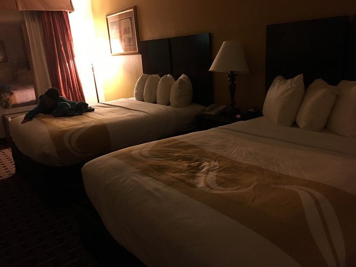 Red Roof Inn Tallahassee East — Guest room